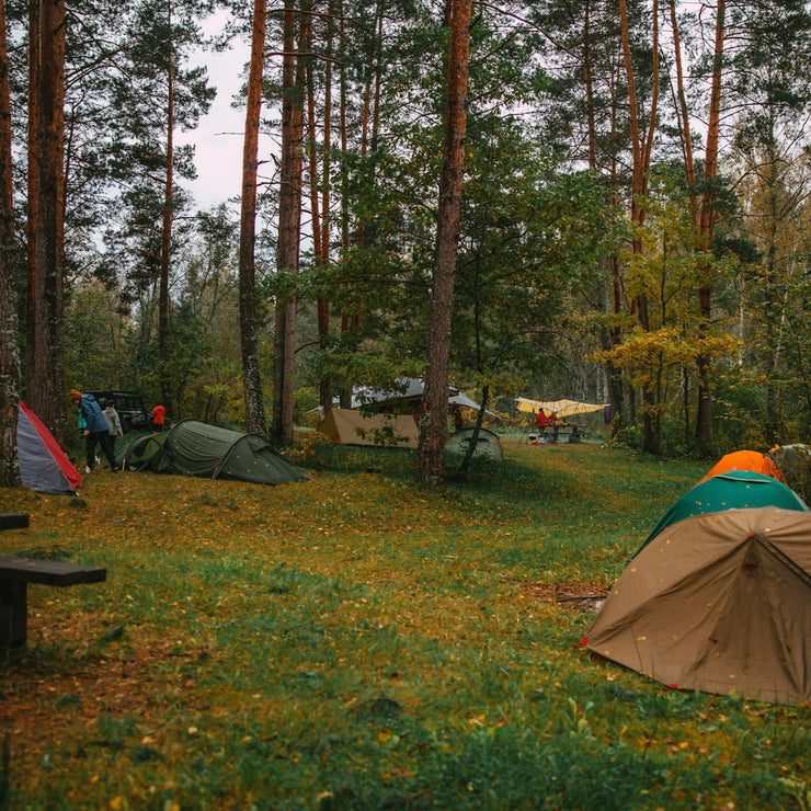 FOREST SISTERHOOD - Latvijas un Igaunijas outdoor sieviešu kopā sanākšana