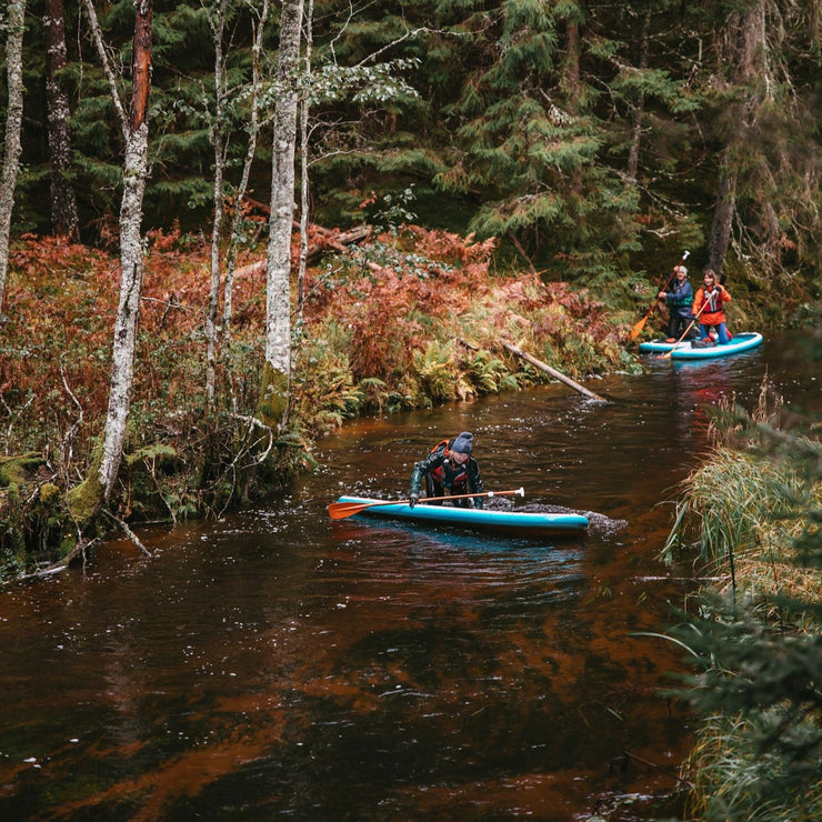 FOREST SISTERHOOD - Latvijas un Igaunijas outdoor sieviešu kopā sanākšana