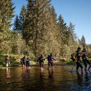 Pārgājiens